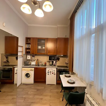 Budapest Cozy W Working Space And Wifi Sófia
