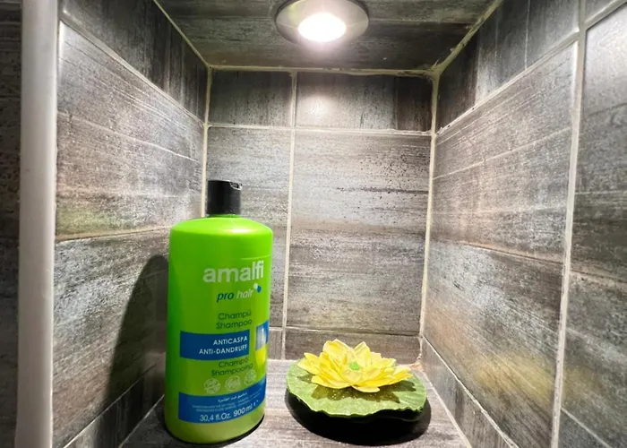 Budapest Cozy W Working Space And Wifi Daire