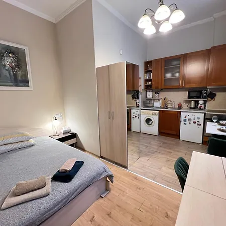 Budapest Cozy W Working Space And Wifi *